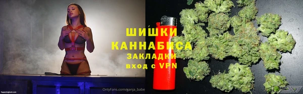 дживик Верхний Тагил