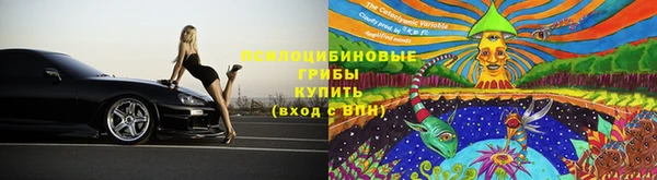 дживик Верхний Тагил