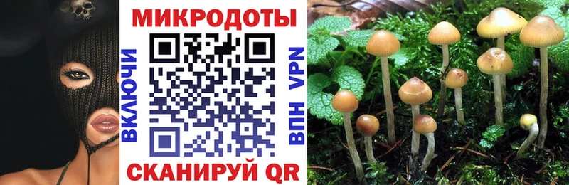 продажа наркотиков  Льгов  mega рабочий сайт  Псилоцибиновые грибы ЛСД 